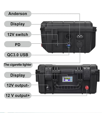 CAPACITY.LI Lifepo4 Battery 100ah 12V with BMS - Inverted Powers