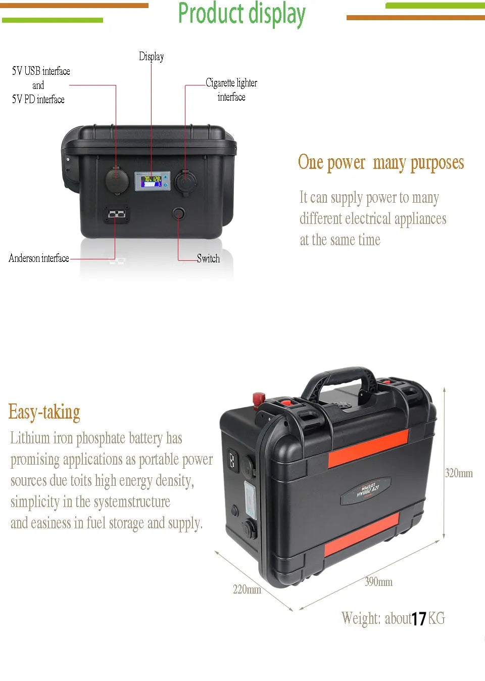 CAPACITY.LI Lifepo4 Battery 100ah 12V with BMS - Inverted Powers