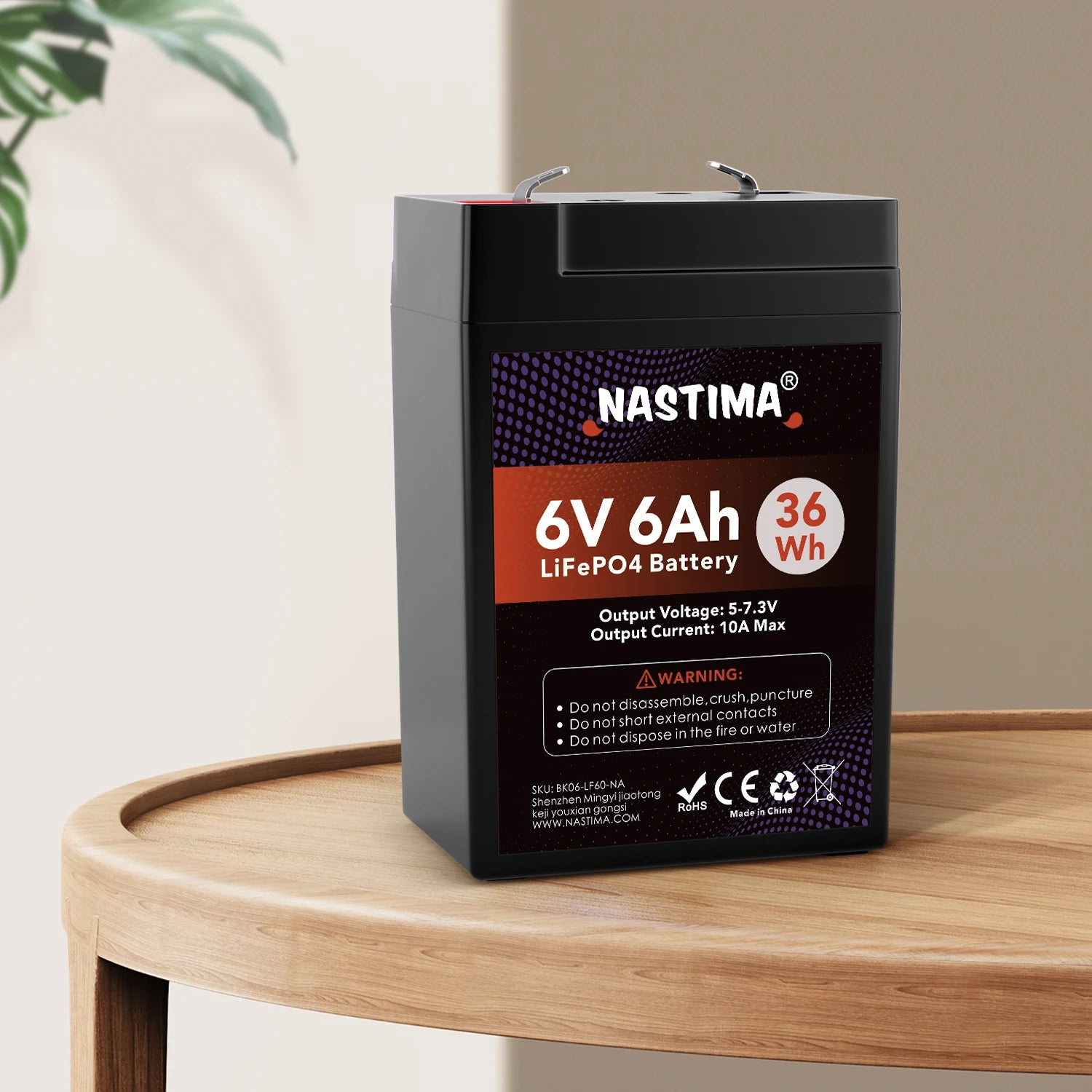 NASTIMA 6V 6Ah LiFePO4 Battery With BMS Rechargeable Lithium Iron Phosphate Battery for Emergency Light Lantern Kids Ride On Car - Inverted Powers