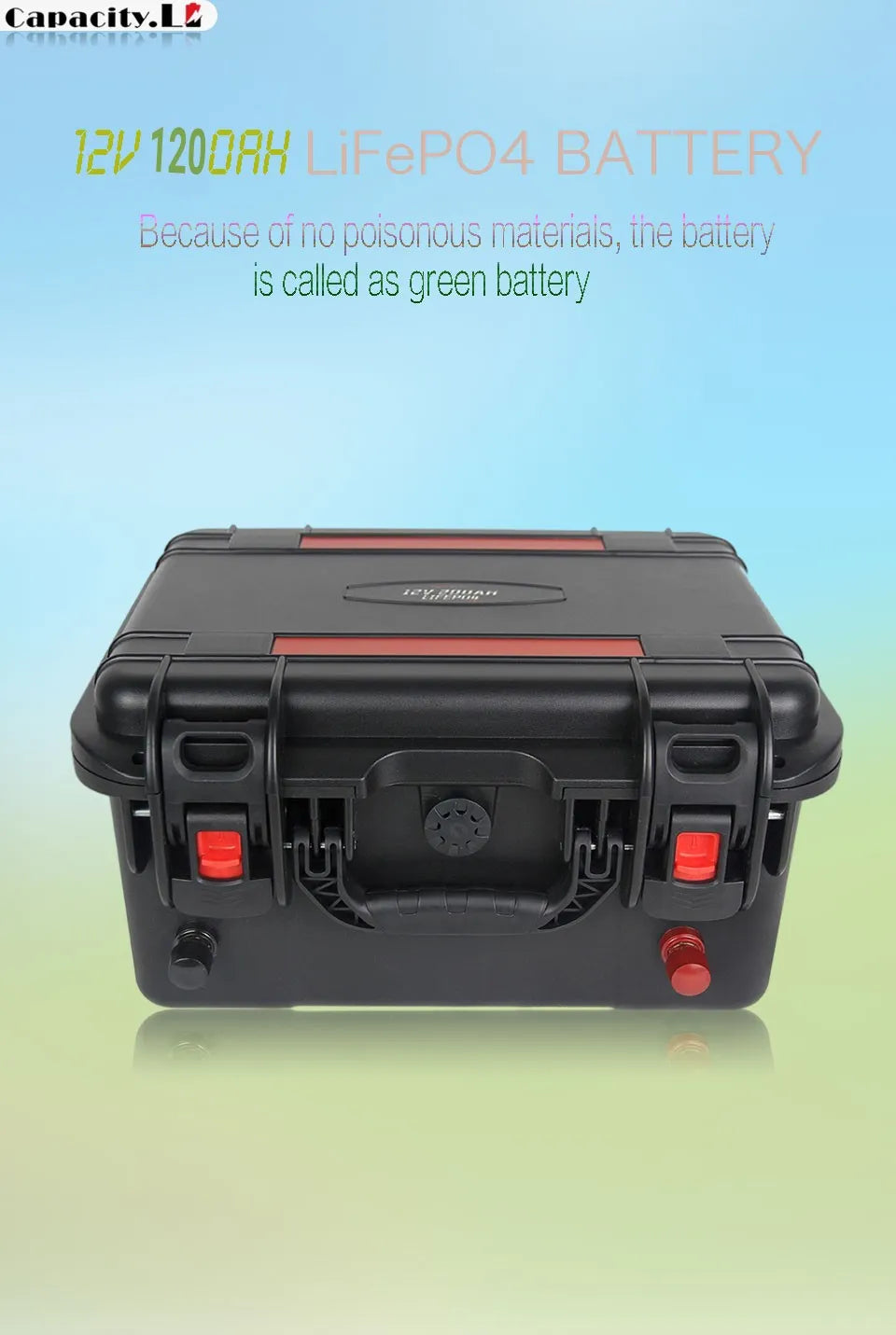 CAPACITY.LI Lifepo4 Battery 100ah 12V with BMS - Inverted Powers