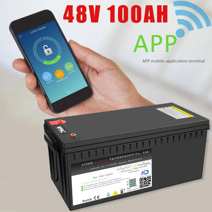 LiFePO4 Battery 50Ah/100Ah Bluetooth BMS - Inverted Powers